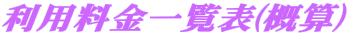 pꗗ\(TZ)